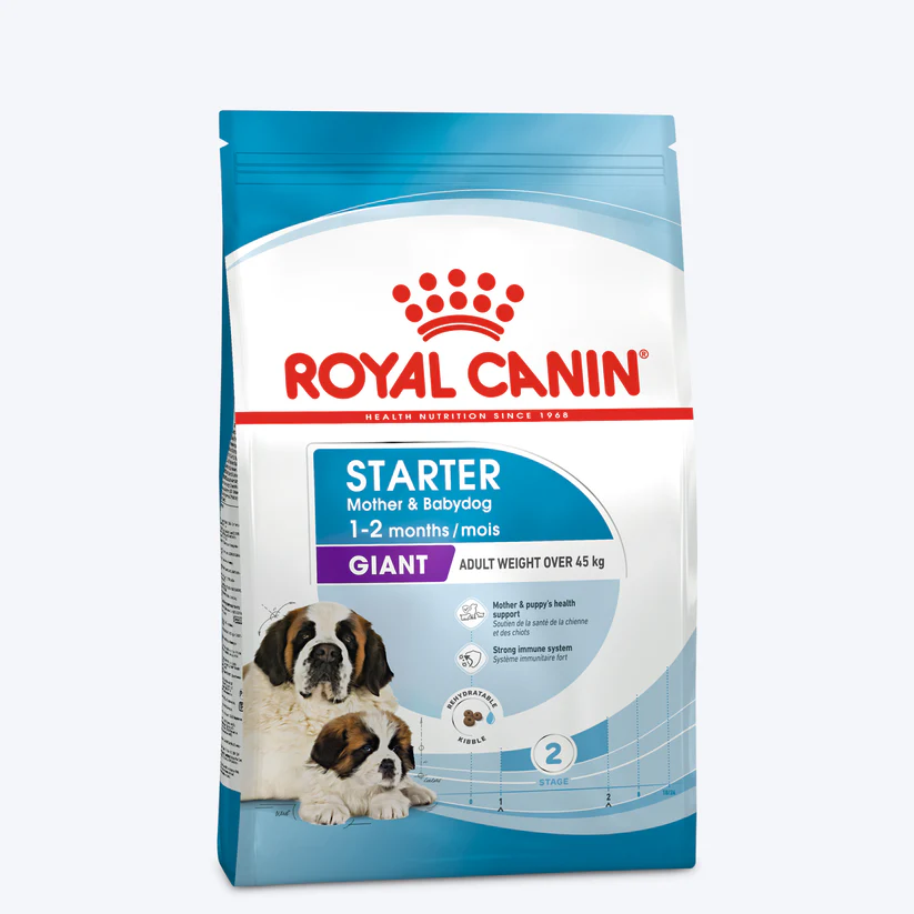 gaint starter - Copy.webp